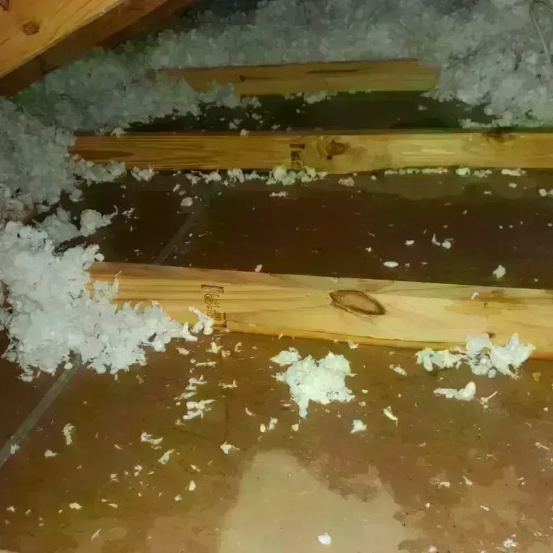 Attic Water Damage in Asbury Lake, FL