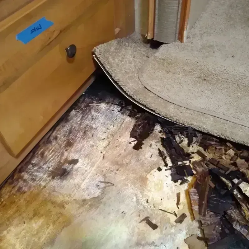 Wood Floor Water Damage in Asbury Lake, FL